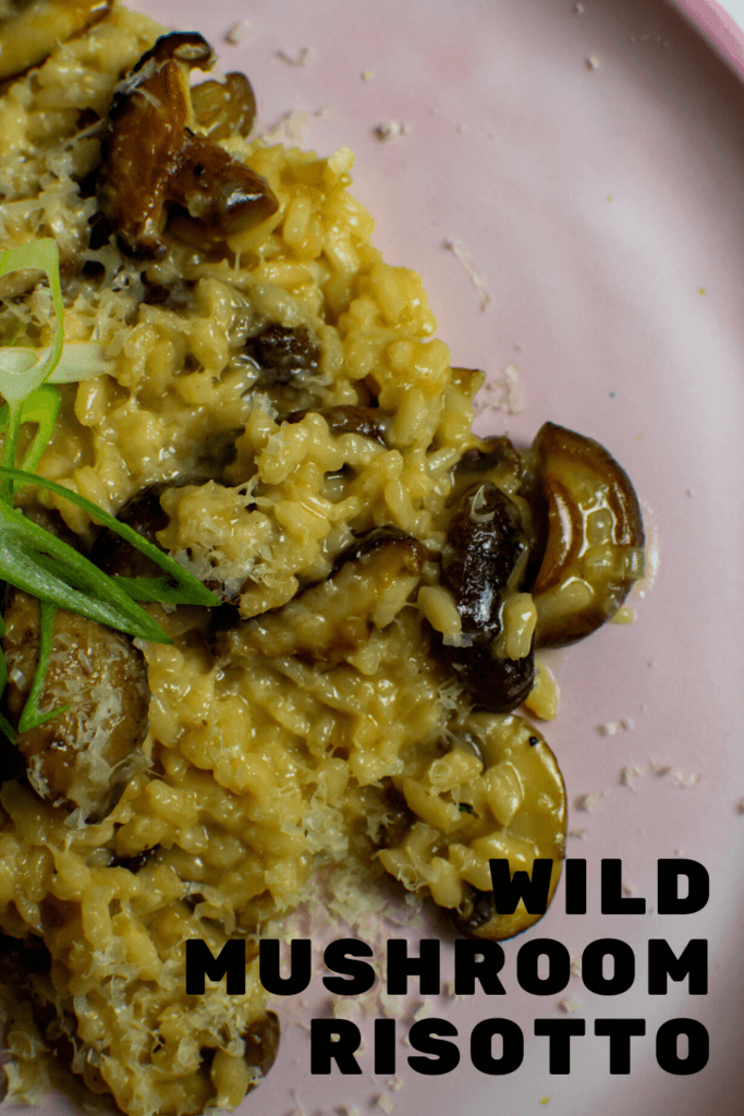wild mushroom risotto on a pink plate