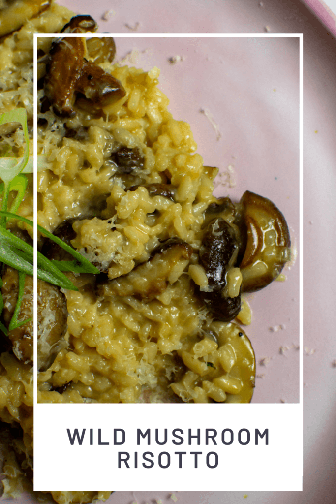 wild mushroom risotto on a pink plate