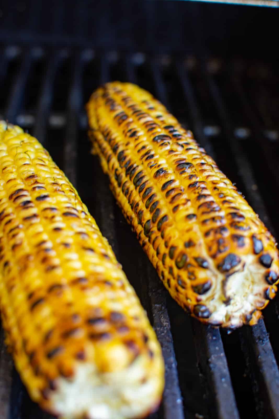 corn being grilled on BBQ